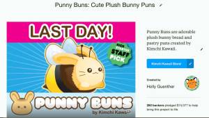 Screen shot of my successful Kickstarter to fund my Punny Buns plush.